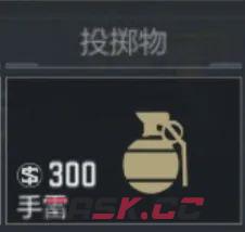 《穿越火线：枪战王者》赏金爆破模式手雷与燃烧弹解析-第4张-手游攻略-GASK
