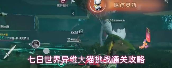 七日世界异维大猫挑战通关攻略-第1张-手游攻略-GASK