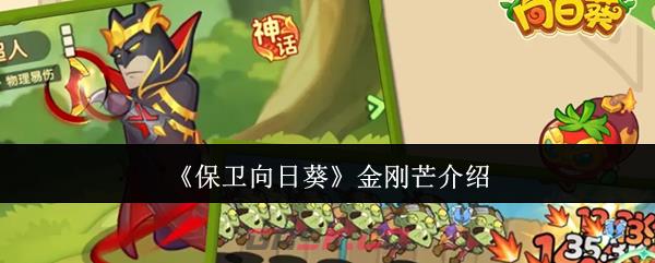 《保卫向日葵》金刚芒介绍-第1张-手游攻略-GASK