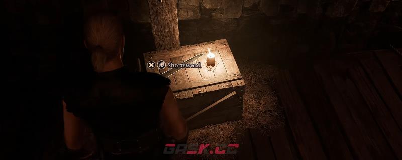 《哥特王朝：重制版》强力初始武器获得方法介绍-第1张-单机攻略-GASK