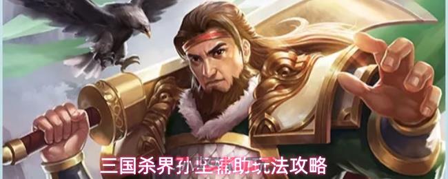 三国杀界孙坚辅助玩法攻略