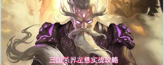 三国杀界左慈实战攻略