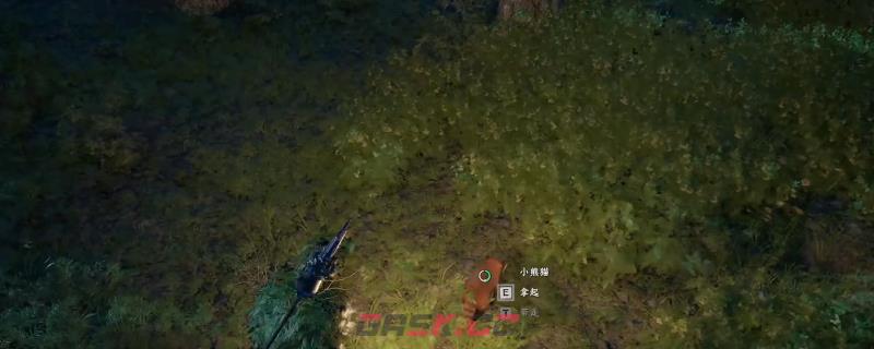 《红色沙漠》小熊猫宠物获得方法介绍-第1张-单机攻略-GASK