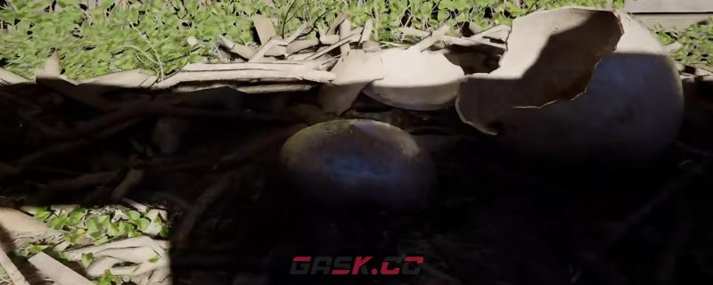 《红色沙漠》龙蛋全收集攻略分享-第1张-单机攻略-GASK
