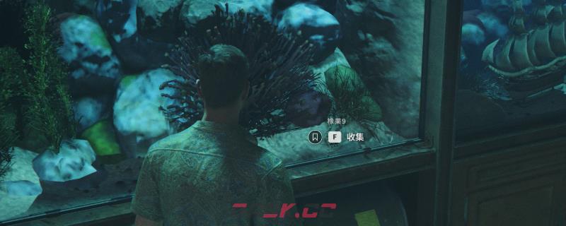 《007：初露锋芒》扑克牌橡果9获得方法介绍-第1张-单机攻略-GASK