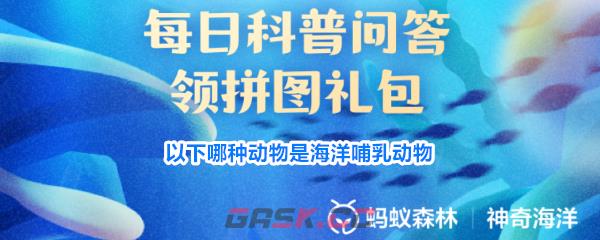 以下哪种动物是海洋哺乳动物