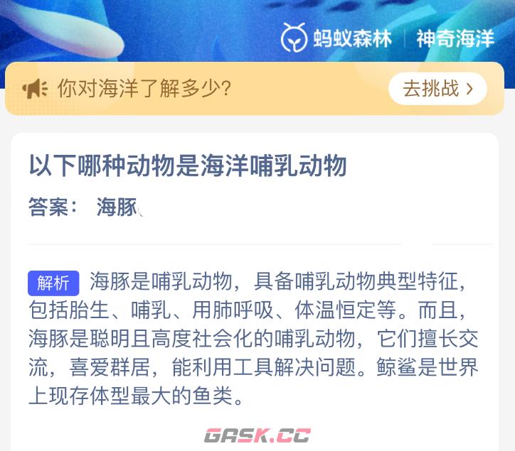 以下哪种动物是海洋哺乳动物-第2张-手游攻略-GASK