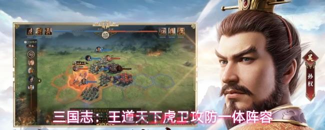 三国志：王道天下虎卫攻防一体阵容-第1张-手游攻略-GASK