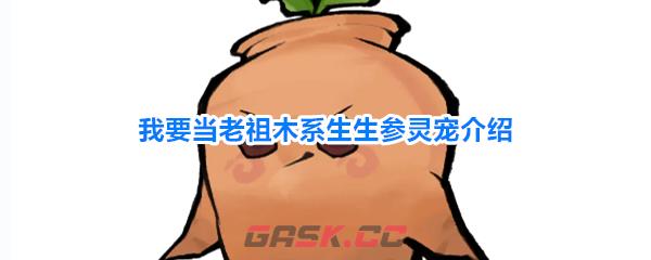 我要当老祖木系生生参灵宠介绍-第1张-手游攻略-GASK