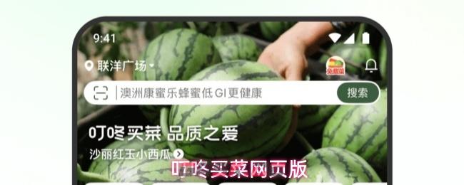 叮咚买菜网页版-第1张-手游攻略-GASK
