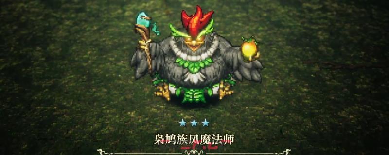 《冒险家艾略特的千年奇谭》枭鸠族风魔法师打法技巧分享-第1张-单机攻略-GASK