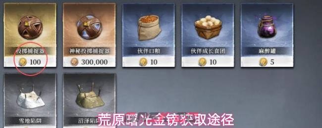 荒原曙光金镑获取途径
