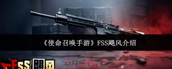 《使命召唤手游》FSS飓风介绍-第1张-手游攻略-GASK