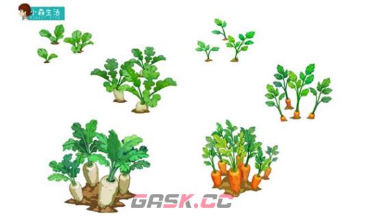 《小森生活》沙地萝卜种植攻略-第5张-手游攻略-GASK