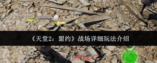 《天堂2：盟约》战场详细玩法介绍
