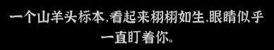 文字密室逃脱：恶魔仪式DLC 图文攻略-第6张-手游攻略-GASK