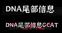 文字密室逃脱：奇幻之旅图文攻略-第5张-手游攻略-GASK