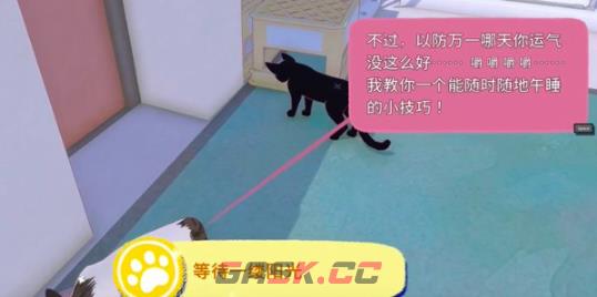 《小猫咪大城市》通关攻略-第3张-手游攻略-GASK