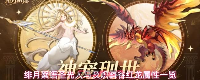 绯月絮语圣光人马及炽鳞谷红龙属性一览