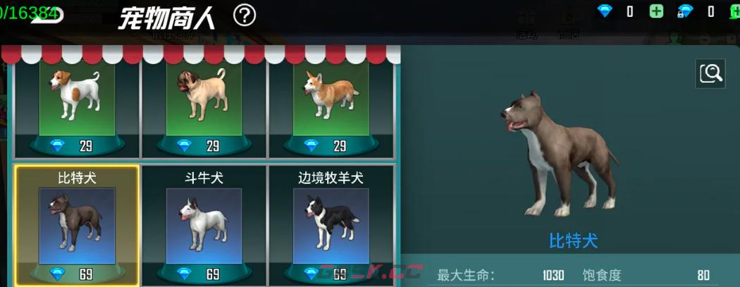 《海域重启》藏箱子玩法介绍-第5张-手游攻略-GASK