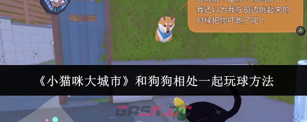 《小猫咪大城市》和狗狗相处一起玩球方法-第1张-手游攻略-GASK