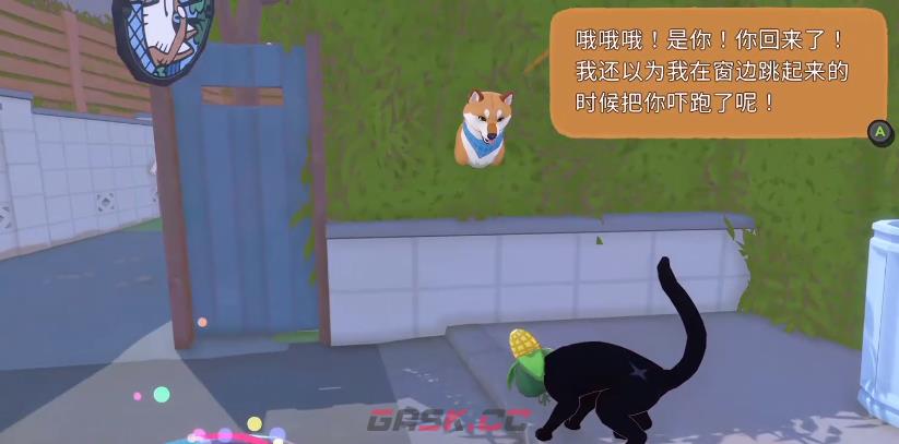 《小猫咪大城市》和狗狗相处一起玩球方法-第2张-手游攻略-GASK