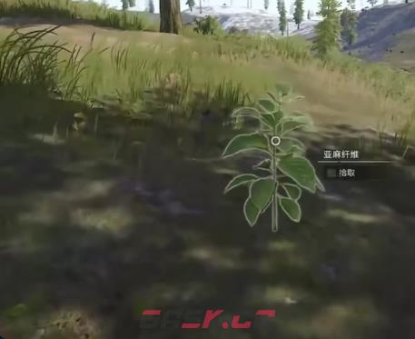 《失控进化》亚麻纤维获取攻略-第3张-手游攻略-GASK