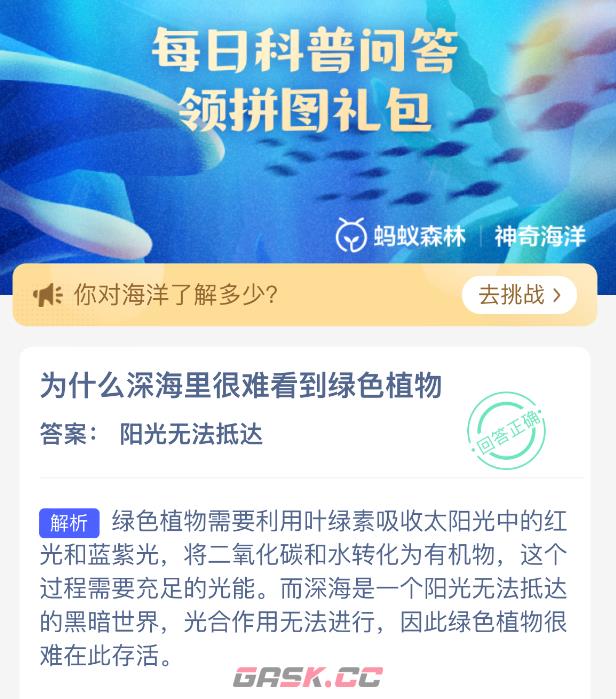 为什么深海里很难看到绿色植物-第2张-手游攻略-GASK
