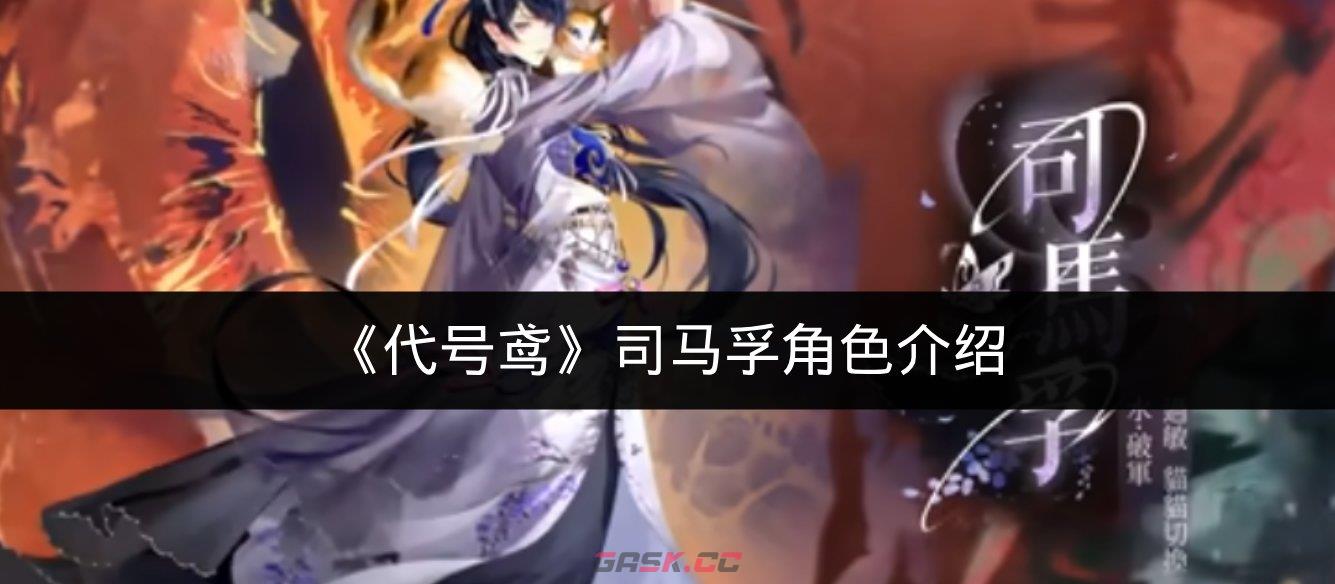 《代号鸢》司马孚角色介绍