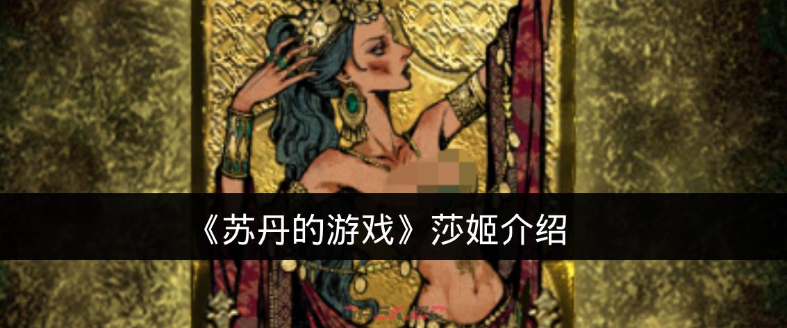 《苏丹的游戏》莎姬介绍