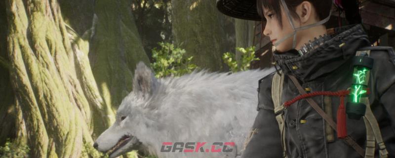 《轮回之兽》全流程通关攻略分享-第1张-单机攻略-GASK