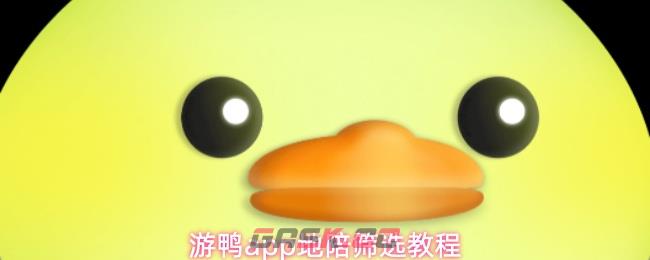 游鸭app地陪筛选教程