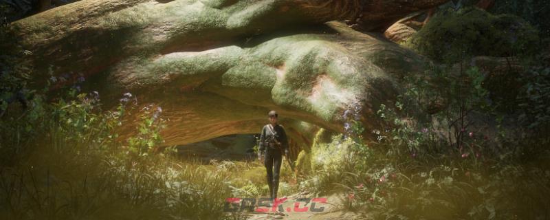 《轮回之兽》全食谱获得方法介绍-第1张-单机攻略-GASK