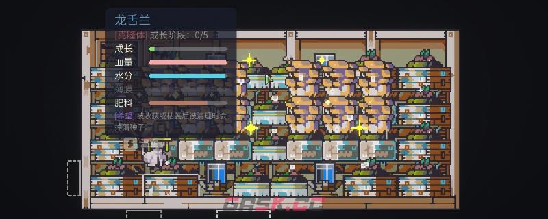 《多洛可小镇》极速种植流玩法攻略分享