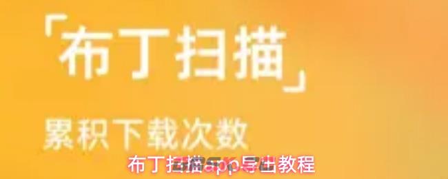 布丁扫描app导出教程