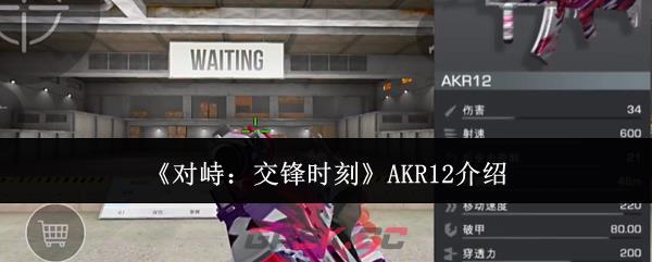 《对峙：交锋时刻》AKR12介绍-第1张-手游攻略-GASK