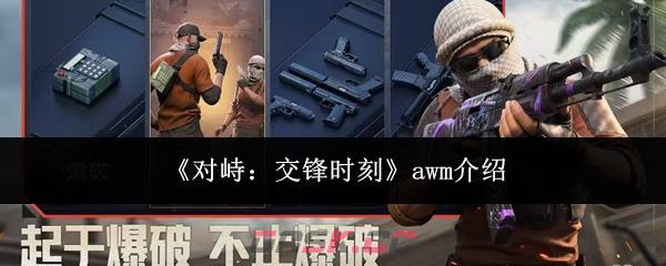 《对峙：交锋时刻》awm介绍