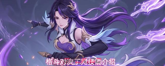 格斗对决丁宛技能介绍