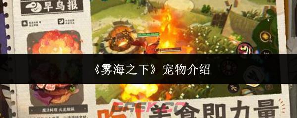 《雾海之下》宠物介绍