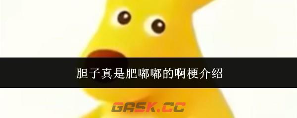 胆子真是肥嘟嘟的啊梗介绍-第1张-手游攻略-GASK