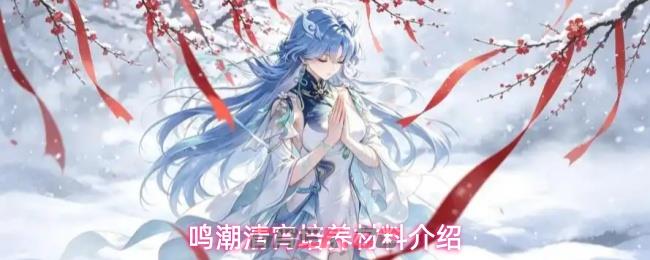 鸣潮清宵培养材料介绍