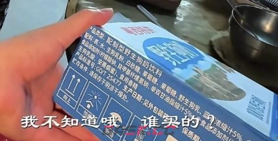 野生狗奶梗介绍-第2张-手游攻略-GASK