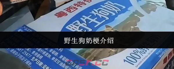 野生狗奶梗介绍