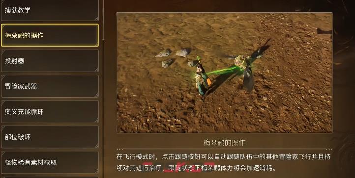 《怪物猎人：旅人》宠物养成攻略-第6张-手游攻略-GASK