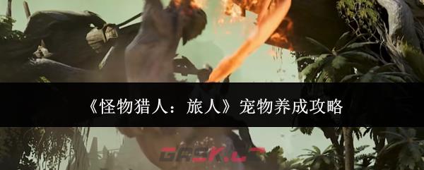 《怪物猎人：旅人》宠物养成攻略