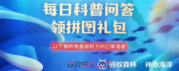 以下哪种海星被称为向日葵海星