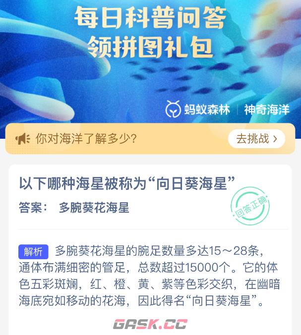 以下哪种海星被称为向日葵海星-第2张-手游攻略-GASK