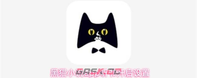 黑猫小说app听书开启设置