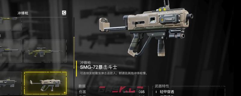 《绝地潜兵2》暴击斗士冲锋枪好用配装推荐-第1张-单机攻略-GASK