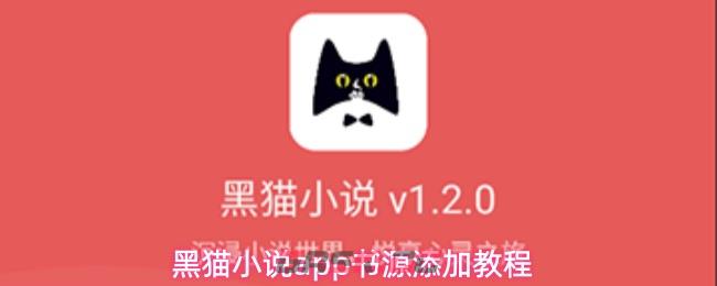 黑猫小说app书源添加教程